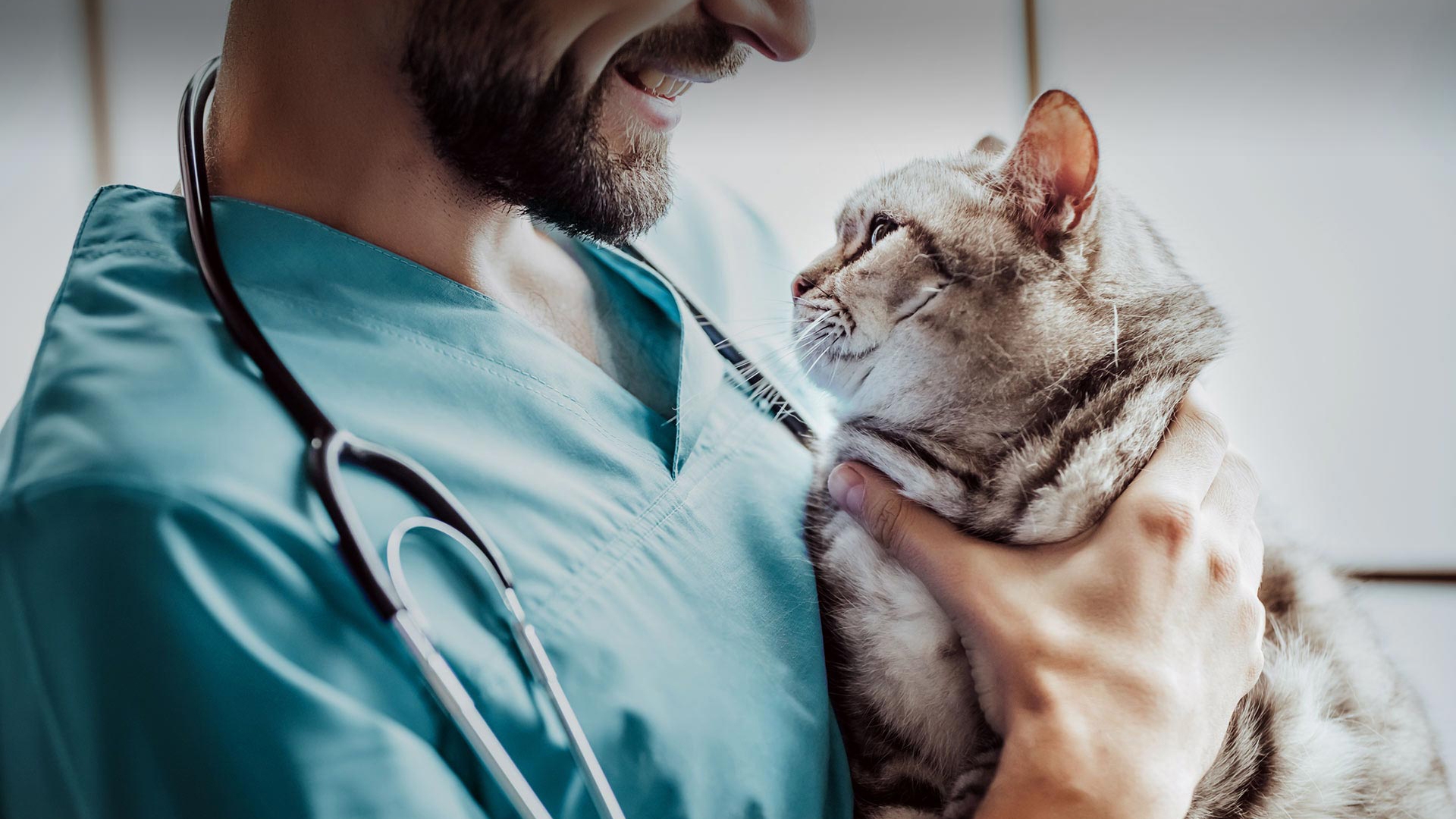 Karamanlı Veteriner